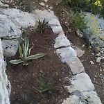 House On Punta * וולה לוקה