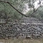 בית נופש House On Punta *