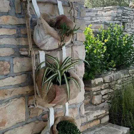 House On Punta * ヴェラ・ルカ