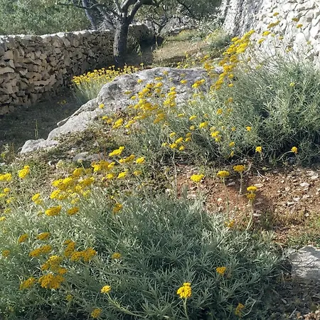 House On Punta * ヴェラ・ルカ