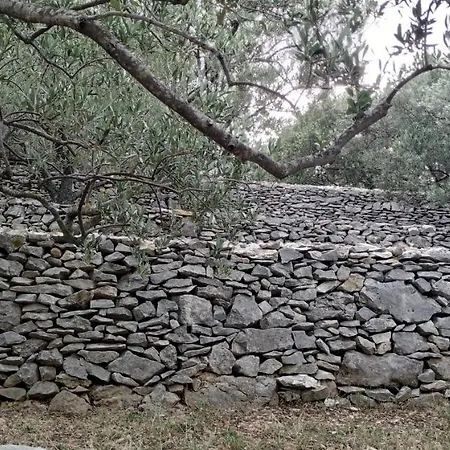 Ferienhaus House On Punta *