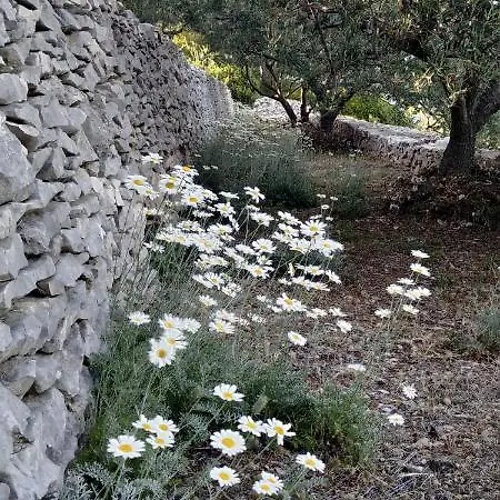 Ferienhaus House On Punta *