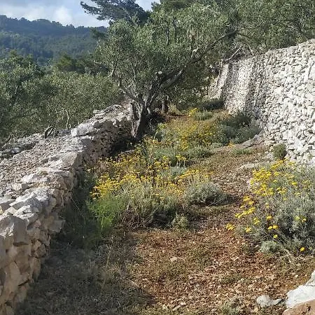 House On Punta * Vela Luka