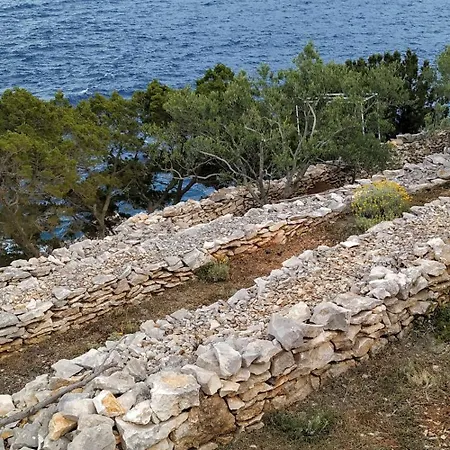 House On Punta