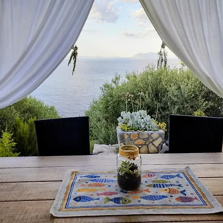 House On Punta *
