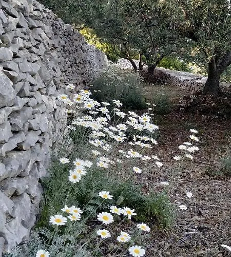 Nyaraló House On Punta *