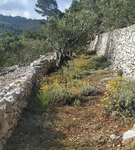 House On Punta * Vela Luka